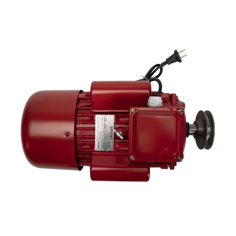 Casa si Gradina - Gradinarit si plante - Instalatii si accesorii pentru irigatii - Pompe apa - Motor electric monofazat Troian 4 kW, 3000 Rpm - Infinity.ro