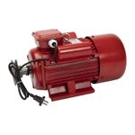 Casa si Gradina - Gradinarit si plante - Instalatii si accesorii pentru irigatii - Pompe apa - Motor electric monofazat Troian 4 kW, 3000 Rpm - Infinity.ro