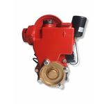 Casa si Gradina - Gradinarit si plante - Instalatii si accesorii pentru irigatii - Pompe apa - Mini Hidrofor Elefant PS170 fonta, silentios, 0.37 kW, turbina bronz, max 1.8 bari - Infinity.ro