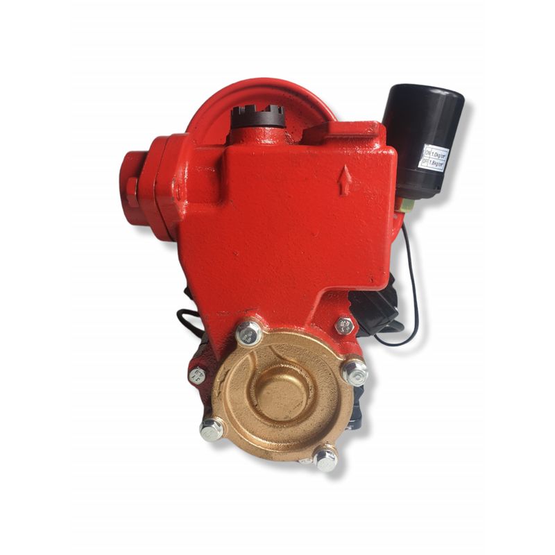 Casa si Gradina - Gradinarit si plante - Instalatii si accesorii pentru irigatii - Pompe apa - Mini Hidrofor Elefant PS170 fonta, silentios, 0.37 kW, turbina bronz, max 1.8 bari - Infinity.ro