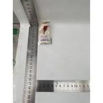 Carti si Birotica - Birotica - Accesorii de birou - Foarfece si cuttere - Cutter pentru Cutii, Flippy, Varf Rotunjit si Zimtat, Tip Breloc, 6.5x3.5 cm, Crem - Infinity.ro