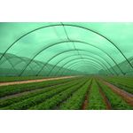 Casa si Gradina - Gradinarit si plante - Intretinere gradina - Produse pentru ingijirea gazonului - Plasa umbrire 2,0m*50m 80g TOP - Infinity.ro