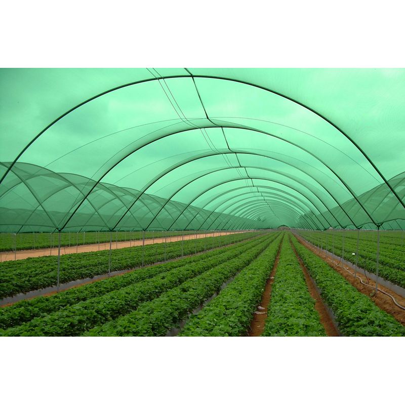 Casa si Gradina - Gradinarit si plante - Intretinere gradina - Produse pentru ingijirea gazonului - Plasa de umbrire 2*50m 30g 30% - Infinity.ro