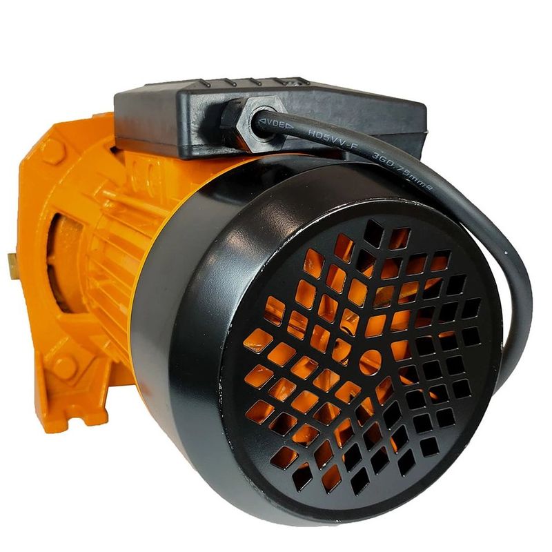 Casa si Gradina - Gradinarit si plante - Instalatii si accesorii pentru irigatii - Pompe apa - Pompa de apa autoamorsanta DDT Jet 100, 1100 W, aspiratie 8 m, refulare 42 m - Infinity.ro