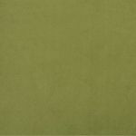 Casa si Gradina - Mobilier - Canapele si coltare - Canapele - Canapea extensibila cu 2 locuri, verde deschis, catifea - Infinity.ro