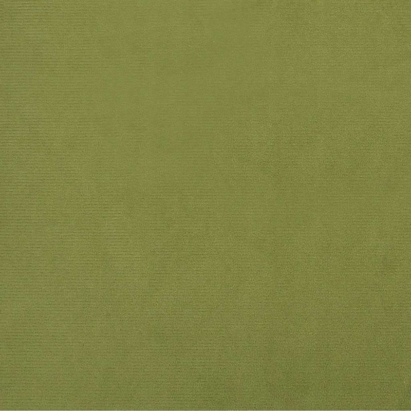 Casa si Gradina - Mobilier - Canapele si coltare - Canapele - Canapea extensibila cu 2 locuri, verde deschis, catifea - Infinity.ro