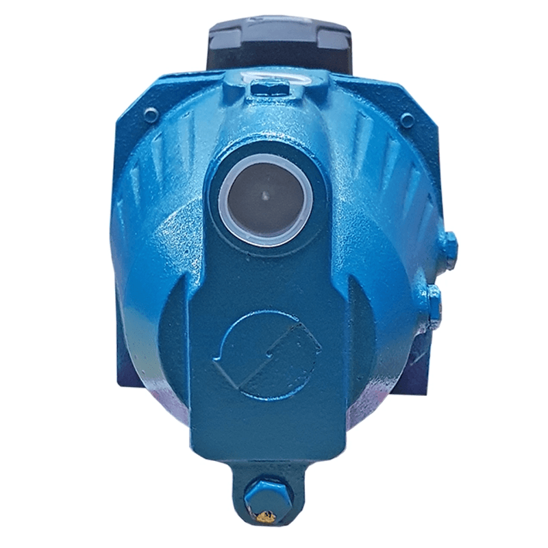 Casa si Gradina - Gradinarit si plante - Instalatii si accesorii pentru irigatii - Pompe apa - Pompa de suprafata DDT, JET100L, 1500 W, aspiratie 8 m, refulare 50 m - Infinity.ro