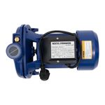 Casa si Gradina - Gradinarit si plante - Instalatii si accesorii pentru irigatii - Pompe apa - Pompa de suprafata pentru apa CPM158 (Lazio mare) 750 W, 2850 rpm, aspiratie 9 m, refulare 30 m + Furtun 1" 50m - Infinity.ro