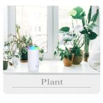 Electronice si Electrocasnice - Climatizare si sisteme de incalzire - Aparate filtrare aer - Umidificatoare - Umidificator, H2O, cu difuzor de aroma, Culori random - Infinity.ro