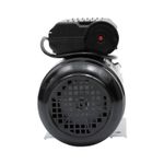 Casa si Gradina - Gradinarit si plante - Instalatii si accesorii pentru irigatii - Pompe apa - Motor electric cu carcasa de aluminiu Micul Fermier, 0.75 kW, 2800 Rpm - Infinity.ro