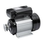 Casa si Gradina - Gradinarit si plante - Instalatii si accesorii pentru irigatii - Pompe apa - Motor electric cu carcasa de aluminiu Micul Fermier, 0.75 kW, 2800 Rpm - Infinity.ro