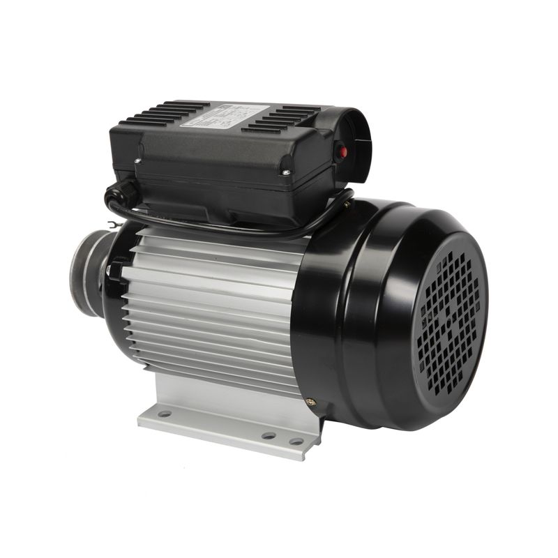 Casa si Gradina - Gradinarit si plante - Instalatii si accesorii pentru irigatii - Pompe apa - Motor electric cu carcasa de aluminiu Micul Fermier, 2.2 kW, 2800 Rpm - Infinity.ro
