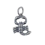 Fashion, accesorii si bijuterii - Femei - Bijuterii femei - Pandantive femei - Pandantiv din Argint, zodia Scorpion - Infinity.ro