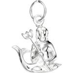 Fashion, accesorii si bijuterii - Femei - Bijuterii femei - Pandantive femei - Pandantiv din Argint 925, zodia Varsator - Infinity.ro