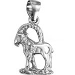 Fashion, accesorii si bijuterii - Femei - Bijuterii femei - Pandantive femei - Pandantiv din Argint 925, zodia Capricorn - Infinity.ro