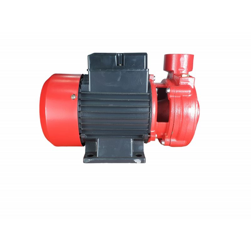 Casa si Gradina - Gradinarit si plante - Instalatii si accesorii pentru irigatii - Pompe apa - Pompa de suprafata Elefant 1.5DK-20 (1.5"*1.5") - Infinity.ro