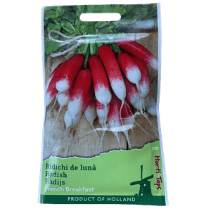 Casa si Gradina - Gradinarit si plante - Plante si ghivece - Infinity.ro