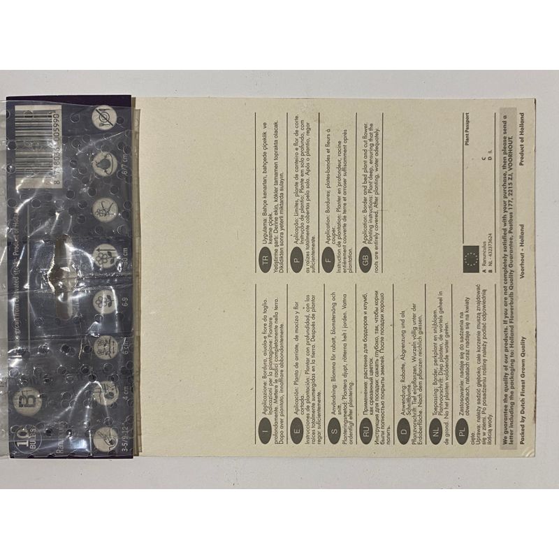 Casa si Gradina - Gradinarit si plante - Plante si ghivece - Bulbi, seminte si rasaduri - Bulbi, Ranunculus rosu, 10 buc, 35 g - Infinity.ro