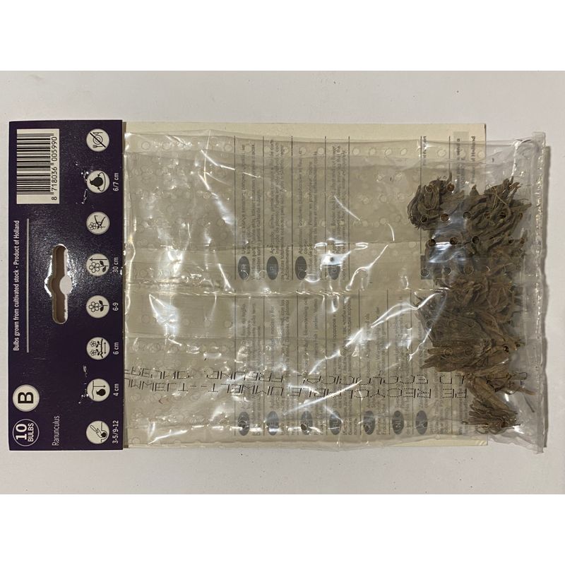 Casa si Gradina - Gradinarit si plante - Plante si ghivece - Bulbi, seminte si rasaduri - Bulbi, Ranunculus rosu, 10 buc, 35 g - Infinity.ro