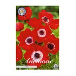 Casa si Gradina - Gradinarit si plante - Plante si ghivece - Bulbi, seminte si rasaduri - Bulbi Anemone Coronaria The Caen Red, 15 bucati - Infinity.ro