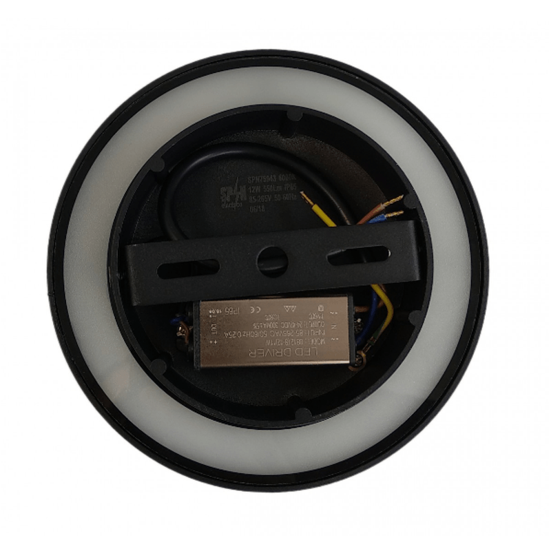 Casa si Gradina - Corpuri si surse de iluminat - Iluminat comercial si industrial - Proiectoare si lampi de lucru - Aplica LED Perete Biscuit fi150, 12W 6400K, lumina rece, cu protectie IP65 - Infinity.ro