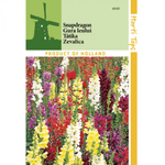 Casa si Gradina - Gradinarit si plante - Plante si ghivece - Bulbi, seminte si rasaduri - Seminte ANTIRRHINUM MAJUS MAXIMUM – gura leului, 0,5 g - Infinity.ro