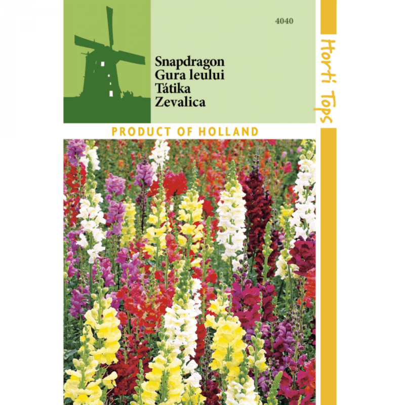 Casa si Gradina - Gradinarit si plante - Plante si ghivece - Bulbi, seminte si rasaduri - Seminte ANTIRRHINUM MAJUS MAXIMUM – gura leului, 0,5 g - Infinity.ro