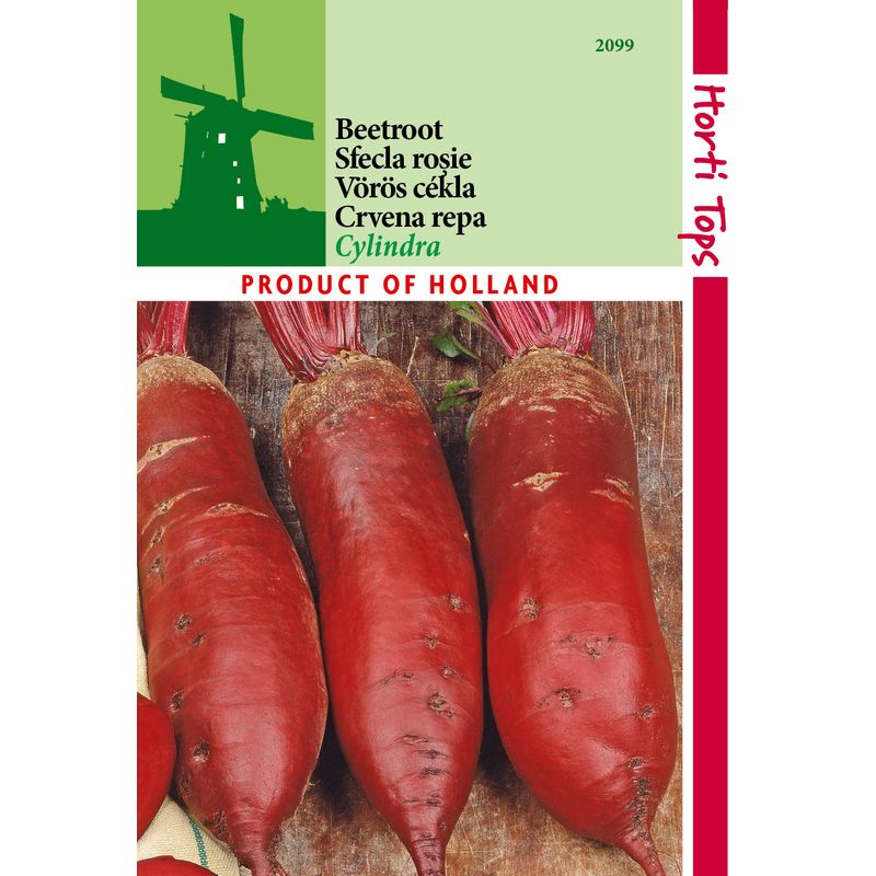 Casa si Gradina - Gradinarit si plante - Plante si ghivece - Bulbi, seminte si rasaduri - Seminte sfecla rosie Cylindra 5g - Infinity.ro