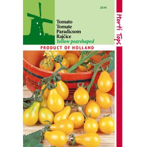 Casa si Gradina - Gradinarit si plante - Plante si ghivece - Infinity.ro