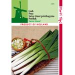 Casa si Gradina - Gradinarit si plante - Plante si ghivece - Bulbi, seminte si rasaduri - Seminte praz Swiss Giant American 2g - Infinity.ro