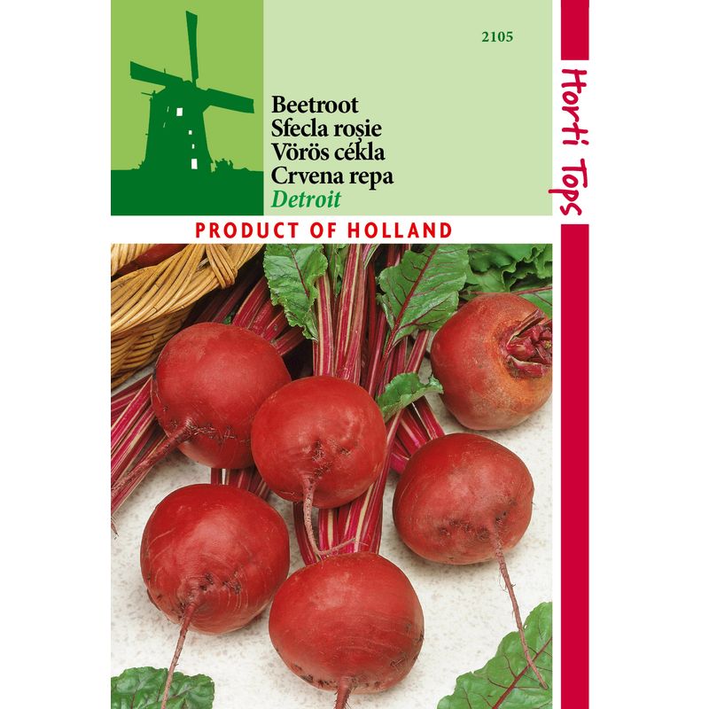 Casa si Gradina - Gradinarit si plante - Plante si ghivece - Bulbi, seminte si rasaduri - Seminte sfecla rosie Detroit 5g - Infinity.ro