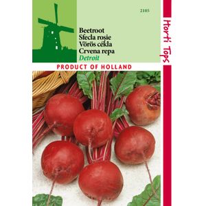 Casa si Gradina - Gradinarit si plante - Plante si ghivece - Infinity.ro