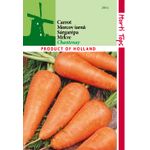 Casa si Gradina - Gradinarit si plante - Plante si ghivece - Bulbi, seminte si rasaduri - Seminte morcovi Chantenay Red Cored 5g - Infinity.ro