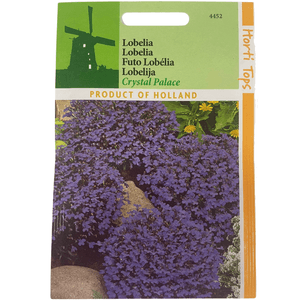 Casa si Gradina - Gradinarit si plante - Plante si ghivece - Infinity.ro