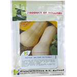 Casa si Gradina - Gradinarit si plante - Plante si ghivece - Bulbi, seminte si rasaduri - Seminte Dovleac de copt Waltham Butternut, 2 g - Infinity.ro