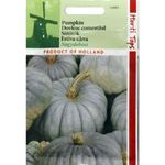 Casa si Gradina - Gradinarit si plante - Plante si ghivece - Bulbi, seminte si rasaduri - Seminte dovleac comestibil Nagydobosi 2g - Infinity.ro