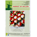 Casa si Gradina - Gradinarit si plante - Plante si ghivece - Bulbi, seminte si rasaduri - Seminte Ridichi de luna Gaudry 3, 10 g - Infinity.ro