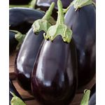 Casa si Gradina - Gradinarit si plante - Plante si ghivece - Bulbi, seminte si rasaduri - Seminte vinete Halflange Violette 1g - Infinity.ro