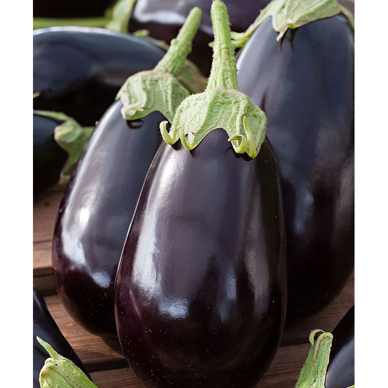 Casa si Gradina - Gradinarit si plante - Plante si ghivece - Bulbi, seminte si rasaduri - Seminte vinete Halflange Violette 1g - Infinity.ro