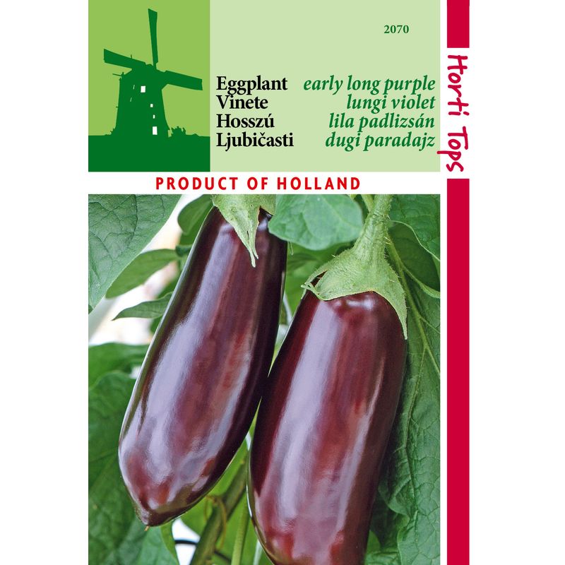 Casa si Gradina - Gradinarit si plante - Plante si ghivece - Bulbi, seminte si rasaduri - Seminte vinete Halflange Violette 1g - Infinity.ro