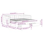 Casa si Gradina - Mobilier - Paturi si accesorii - Paturi - Pat de zi cu extensie si sertare, gri inchis, 90x190cm catifea - Infinity.ro