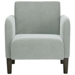 Casa si Gradina - Mobilier - Scaune si fotolii - Fotolii - Fotoliu cu cotiere Gri deschis 54 cm catifea - Infinity.ro