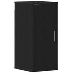 Casa si Gradina - Mobilier - Organizare si depozitare - Organizator incaltaminte - Dulap Pantofi Stejar Negru 32x35x70 cm Lemn prelucrat - Infinity.ro