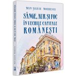 Carti si Birotica - Carti - Istorie - Sange, aur si foc in vechile capitale romanesti, Dan Silviu Boerescu - Infinity.ro
