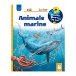 Carti si Birotica - Carti - Carti pentru copii - Basme si povesti - Animale marine, Anita van Saan, Sanna Wandtke - Infinity.ro