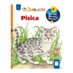 Carti si Birotica - Carti - Carti pentru copii - Basme si povesti - Pisica, Patricia Mennen, Ursula Weller - Infinity.ro