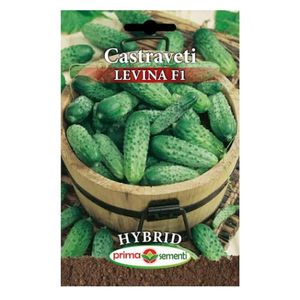 Seminte castraveti Levina F1, 10 gr, Prima Sementi
