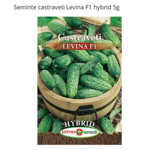 Casa si Gradina - Gradinarit si plante - Plante si ghivece - Infinity.ro