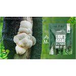 Ingrijire personala si Cosmetice - Sanatate si wellness - Suplimente alimentare - Vitamine si minerale - Lion’s Mane Extract pulbere 25:1 500mg – 30 grame, Hiro Lab - Infinity.ro