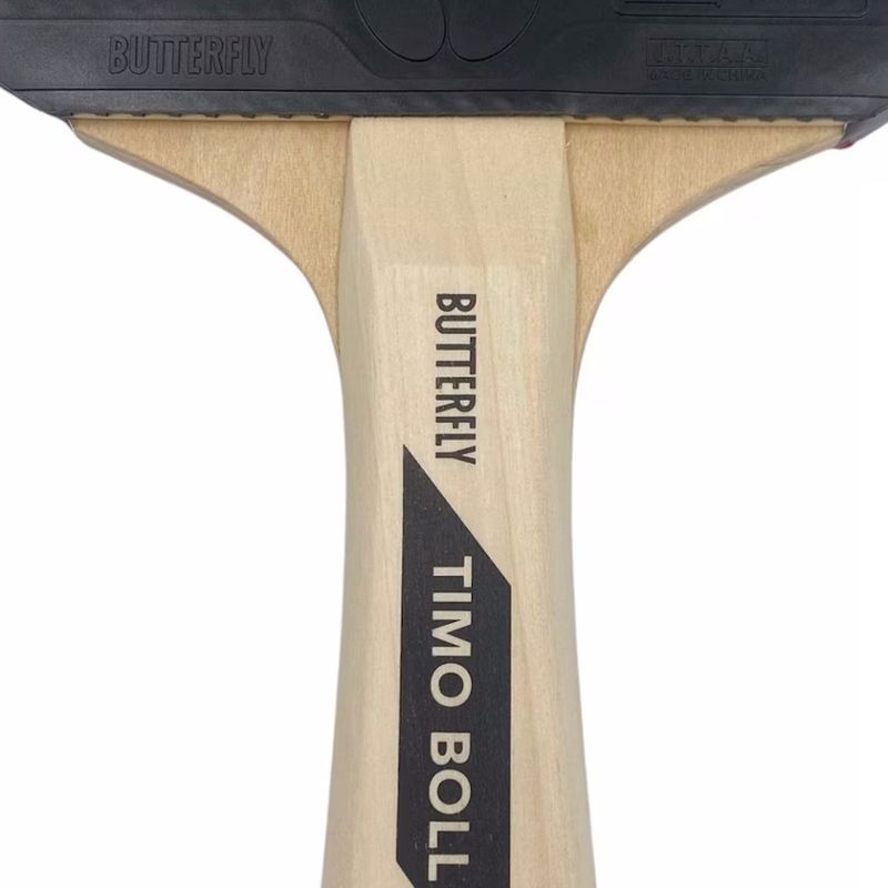 Sport si Outdoor - Sporturi cu paleta - Tenis de masa - Palete si mingi tenis de masa - Set Butterfly 2 palete tenis de masa + 6 mingi - Infinity.ro